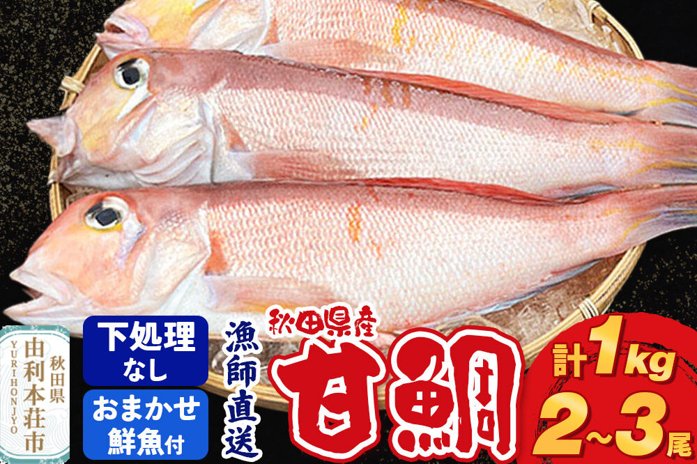 漁師直送 甘鯛（あまだい）1kg＋おまかせ鮮魚 秋田県産【下処理なし】 [天然 高級魚 白身 アマダイ たい 鮮魚 共同漁業 BLUE RISE 秋田県 由利本荘市]