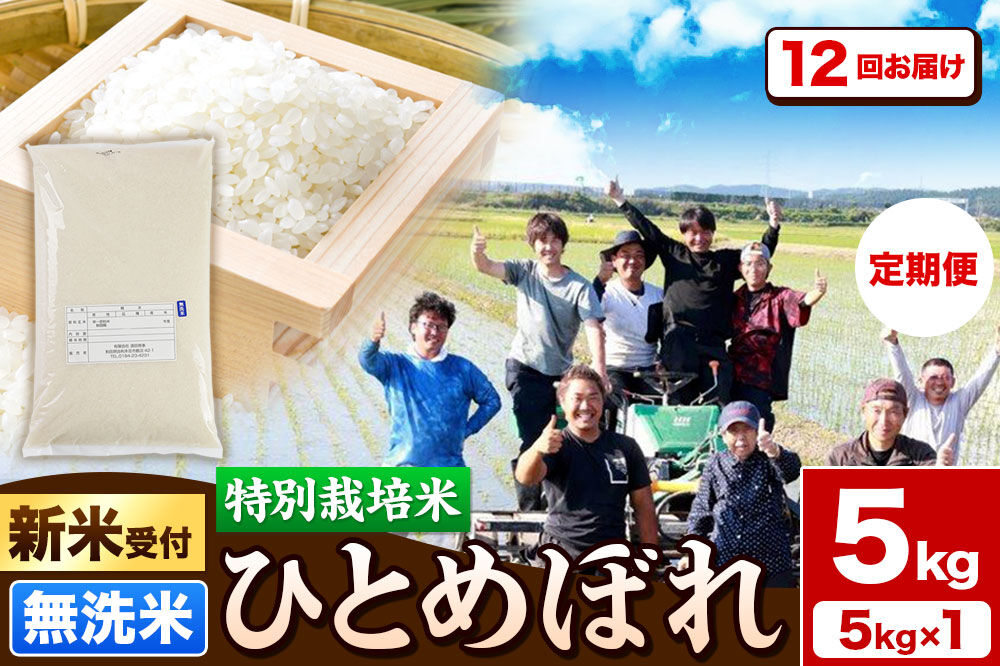 《新米予約》《定期便12ヶ月》令和8年産【無洗米】特別栽培米 ひとめぼれ 5kg 秋田県産 [ひとめぼれ 米 お米 白米 精米 無洗米 特別栽培米 ブランド米 食卓 秋田県産 秋田県 由利本荘市]