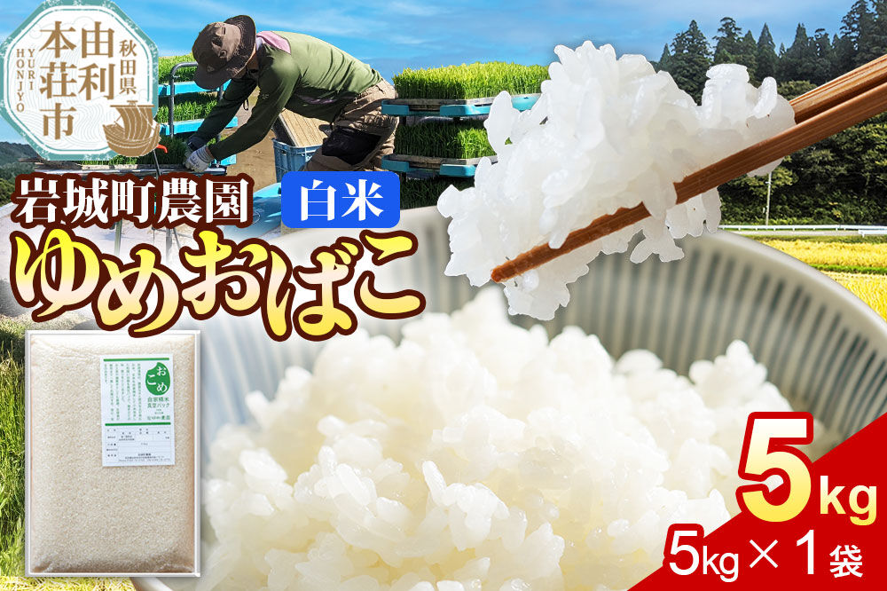[白米]ゆめおばこ 秋田県産 岩城町農園のゆめおばこ 5kg(5kg×1袋)令和7年産 真空パック [ゆめおばこ 米 お米 こめ 白米 精米 食卓 ご飯 ごはん おにぎり 秋田県 由利本荘市]