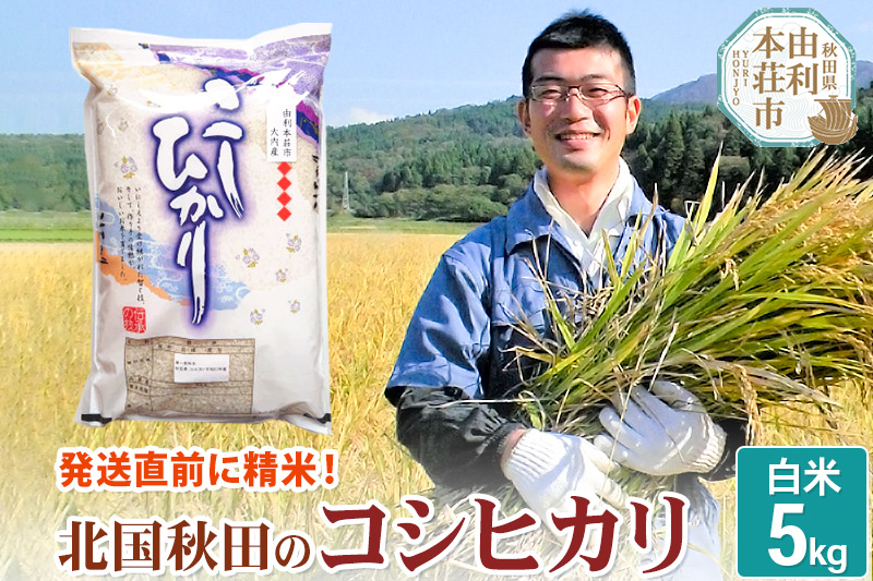 【白米】コシヒカリ 令和6年産 秋田県産 北国秋田のコシヒカリ 5kg