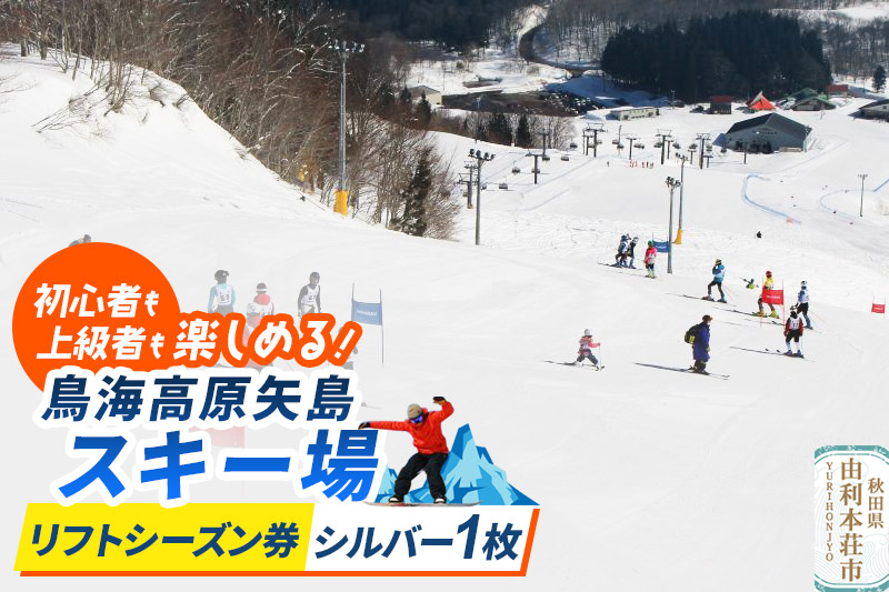 鳥海高原矢島スキー場 リフトシーズン券 シルバー(60歳以上) 1枚【営業期間：2025年12月〜2026年3月】＜簡易書留＞