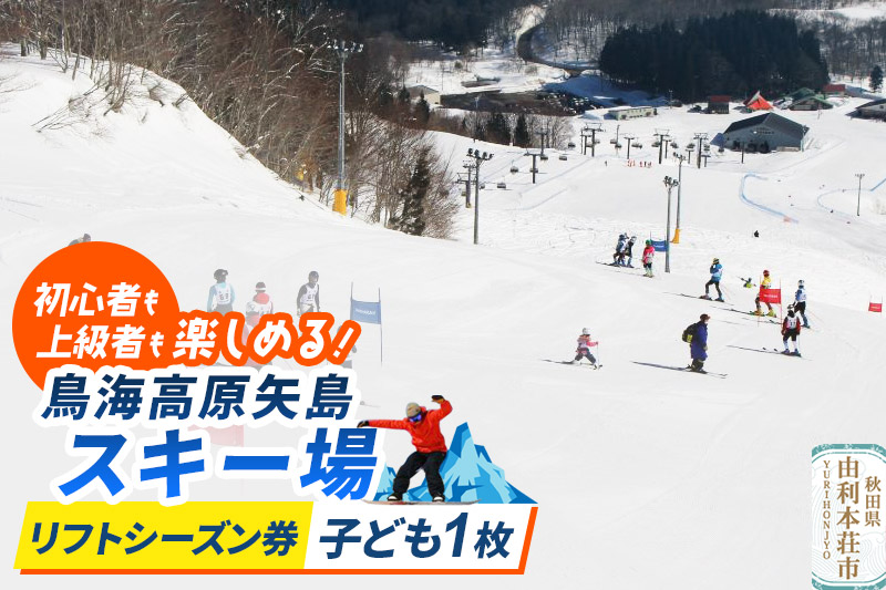 鳥海高原矢島スキー場 リフトシーズン券 子供(中学生以下)1枚【営業期間：2025年12月〜2026年3月】＜簡易書留＞