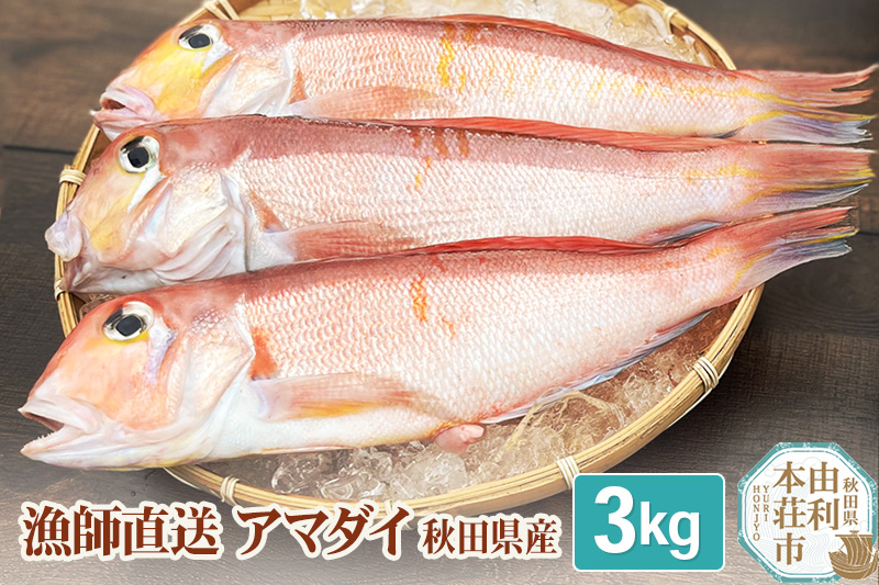 《予約受付》漁師直送 甘鯛 (あまだい)  秋田県産 3kg