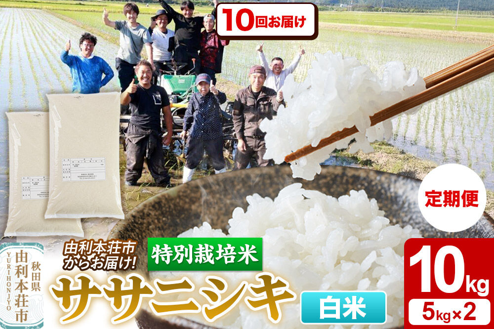 《定期便10ヶ月》令和7年産【白米】特別栽培米 ササニシキ 10kg（5kg×2袋） 秋田県産 [ササニシキ 米 お米 白米 精米 特別栽培米 ブランド米 食卓 秋田県産 秋田県 由利本荘市]