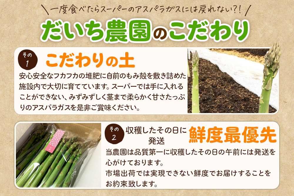 《先行受付》アスパラガス 800g 7月上旬〜8月下旬発送  [アスパラガス アスパラ 自社農園 栽培 鮮度抜群 ハウス栽培 茎まで柔らかい クセのない甘さ 産地直送 産直 素焼き 秋田 由利本荘市 だいち農園]