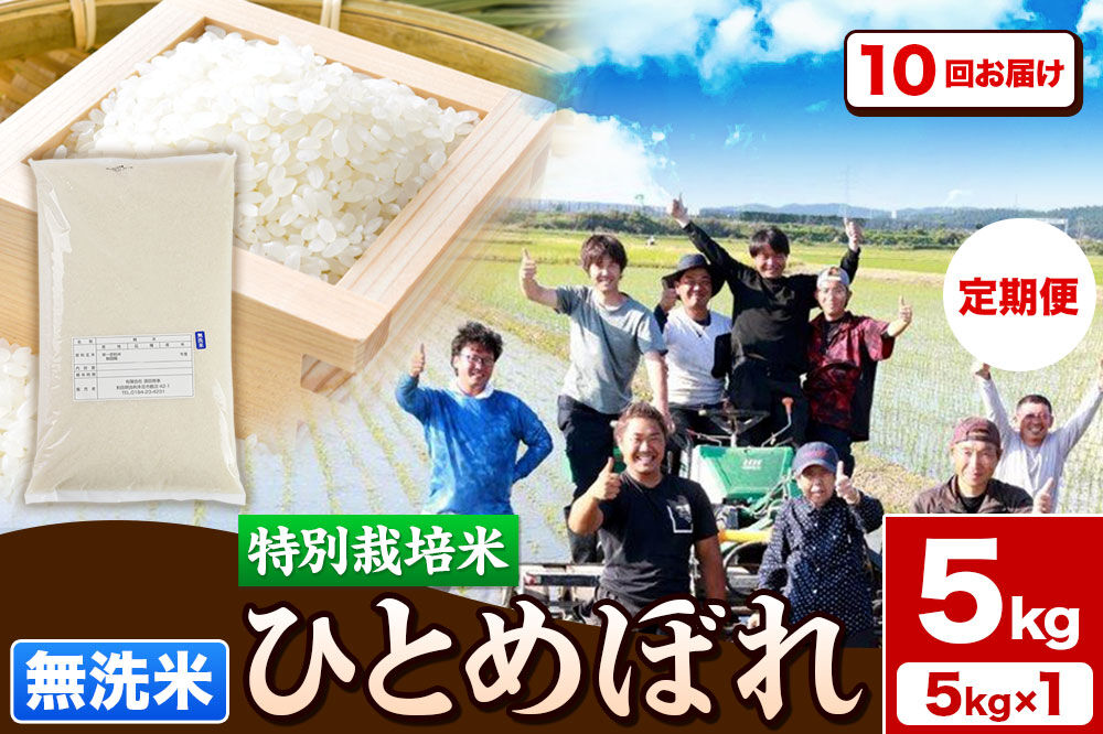 《定期便10ヶ月》令和7年産【無洗米】特別栽培米 ひとめぼれ 5kg 秋田県産 [ひとめぼれ 米 お米 白米 精米 無洗米 特別栽培米 ブランド米 食卓 秋田県産 秋田県 由利本荘市]