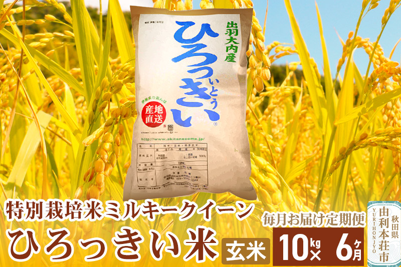 《定期便6ヶ月》【新米予約】【玄米】 秋田県産 ミルキークイーン 10kg 令和6年産 ひろっきい米