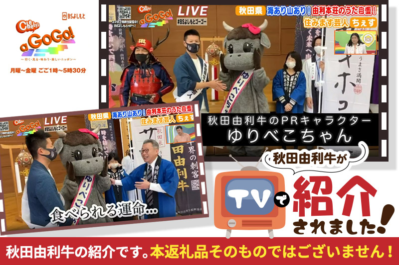 《定期便》11ヶ月連続 秋田由利牛 バラ切り落とし 5kg（500g×10パック）