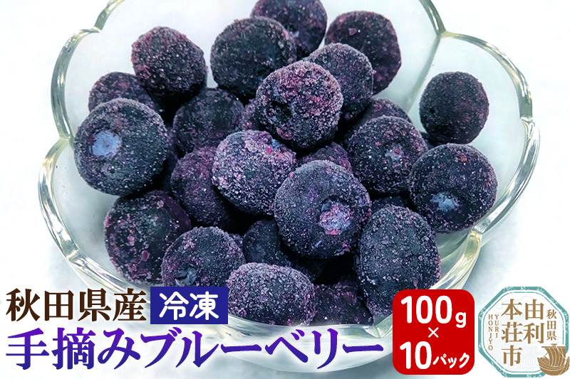 秋田県産 手摘み冷凍ブルーベリー 100g×10パック