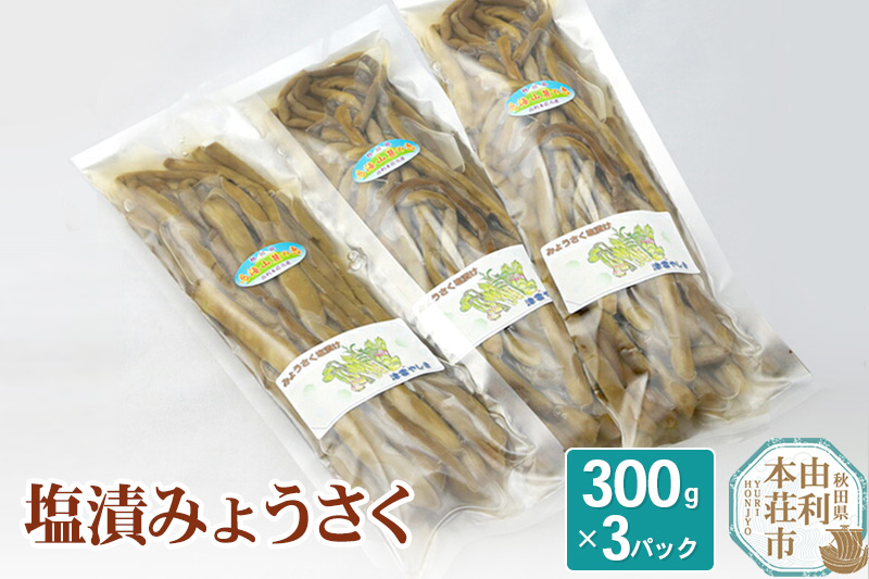 山菜 塩漬 みょうさく 300g×3