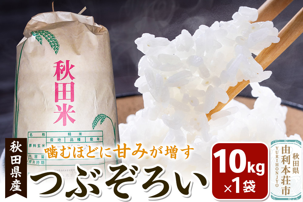 【白米】秋田県由利本荘市産 つぶぞろい 10kg 令和6年産