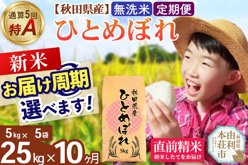 《令和8年産 新米受付》《定期便10ヶ月》【無洗米】通算5回特A 秋田県産ひとめぼれ 25kg(5kg×5袋)×10回  お届け周期調整 隔月に調整OK [米 無洗米 白米 特A 精米 秋田県 東北 お米 ひとめぼれ 小袋 小分け 直前精米 おいしい米 おすすめ]