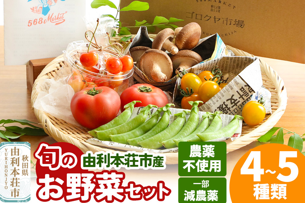 旬のお野菜セット 秋田県 由利本荘市産 栽培期間中農薬不使用 減農薬