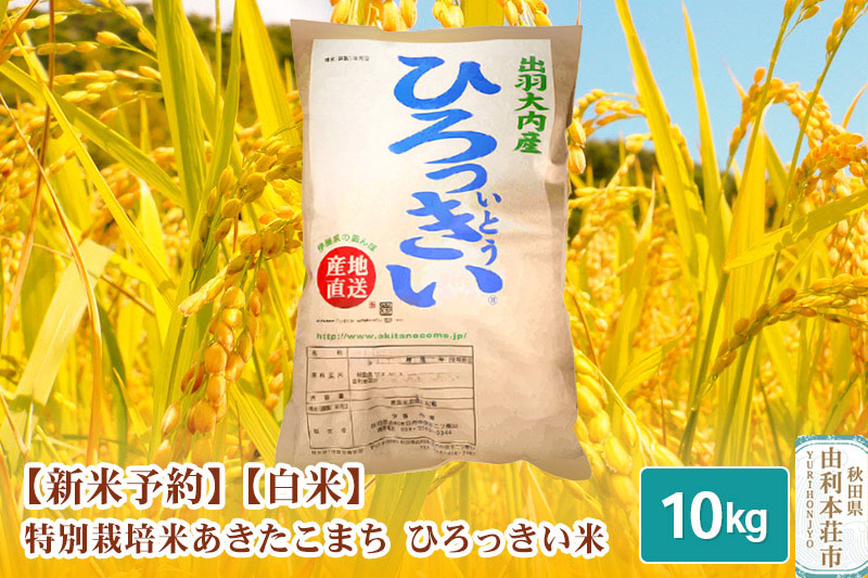 《新米予約》【白米】 秋田県産 あきたこまち 10kg  令和6年産 特別栽培米 ひろっきい米