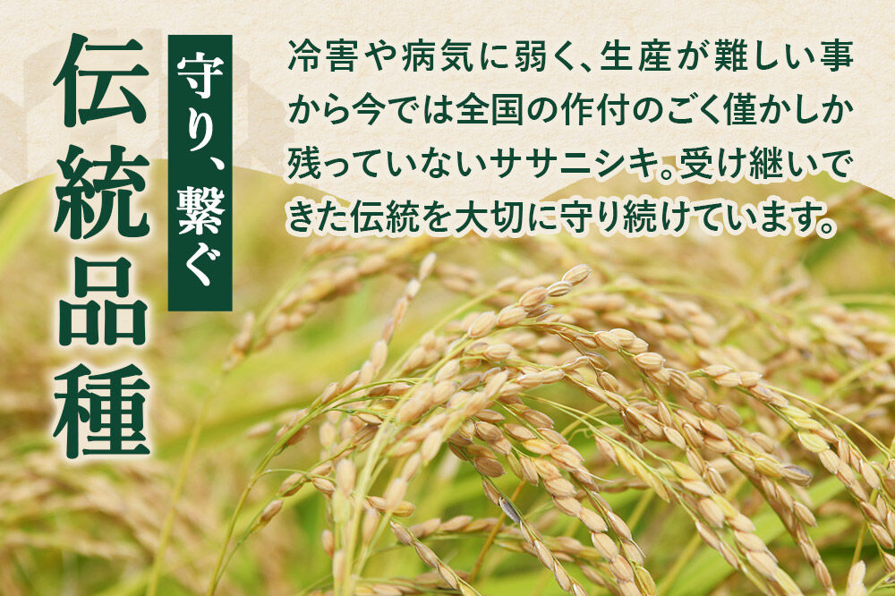 《定期便2ヶ月》令和7年産【無洗米】特別栽培米 ササニシキ 10kg（5kg×2袋）秋田県産 [ササニシキ 米 お米 白米 精米 無洗米 特別栽培米 ブランド米 食卓 秋田県産 秋田県 由利本荘市]