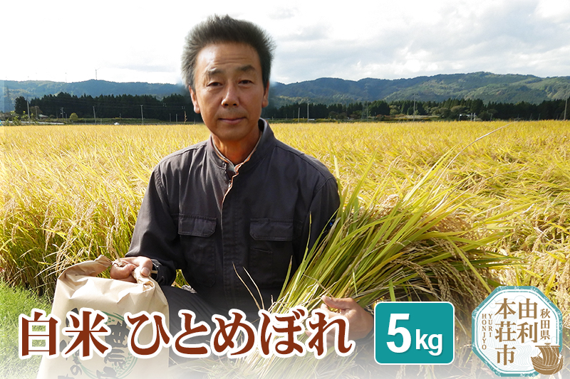 【白米】 ＜通算5回 特A＞ ひとめぼれ   5kg 令和6年産 農家直送 渡部さんのひとめぼれ