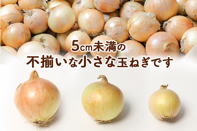 《先行受付》由利本荘市産　由利玉ねぎ（小玉）20kg【品種混在】 [たまねぎ 由利たまねぎ 小玉 20kg]