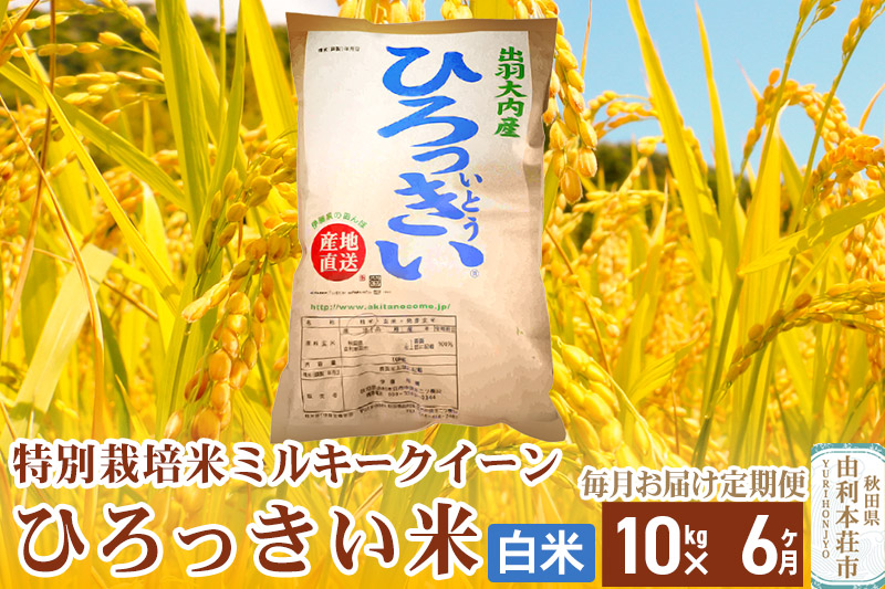 《定期便6ヶ月》【新米予約】【白米】 秋田県産 ミルキークイーン 10kg 令和6年産 ひろっきい米