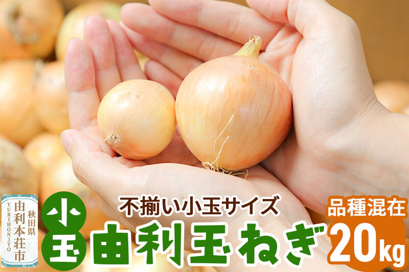 《先行受付》由利本荘市産　由利玉ねぎ（小玉）20kg【品種混在】 [たまねぎ 由利たまねぎ 小玉 20kg]