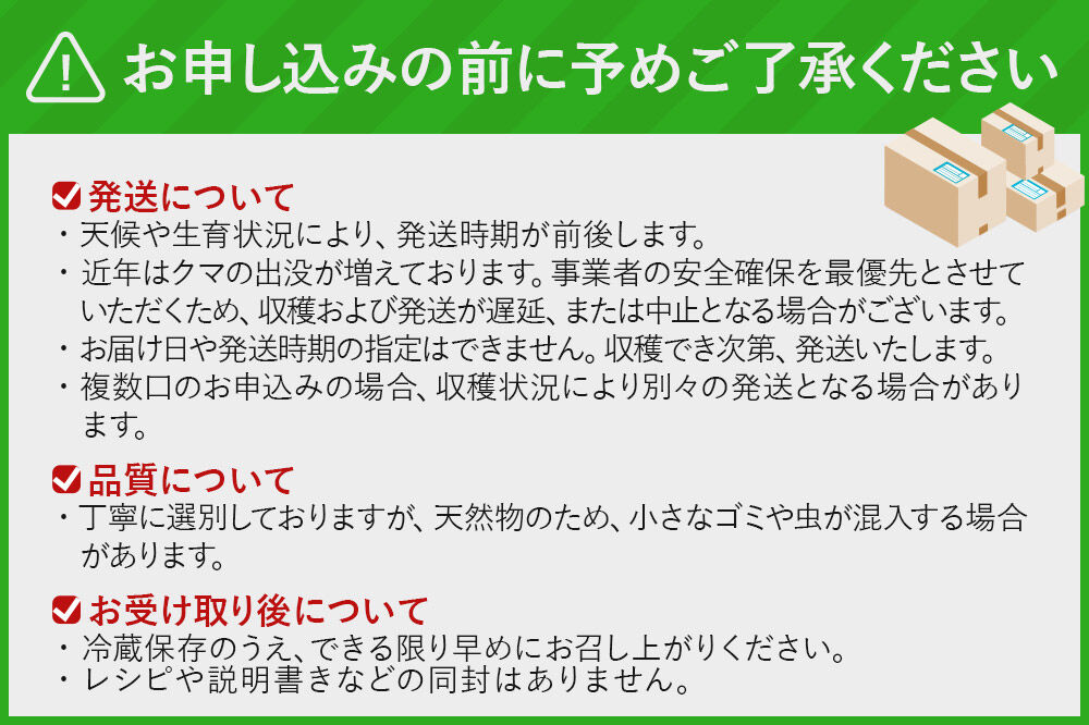 《先行受付》行者ニンニク 約300g [山菜 行者にんにく 自然栽培 野菜 天然 天然山菜 国産 先行予約 秋田熊の子山菜便 秋田県産]