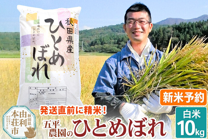 《令和8年産 新米受付》【白米】ひとめぼれ10kg 秋田県産 五平農園のひとめぼれ《12月上旬〜12月下旬発送予定》 [ひとめぼれ 新米受付 米 お米 こめ 白米 精米 ブランド米 食卓 おにぎり 秋田県産 秋田県 由利本荘市]