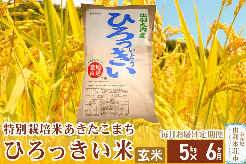 《定期便6ヶ月》【新米予約】【玄米】 秋田県産 あきたこまち 5kg 令和6年産 特別栽培米 ひろっきい米