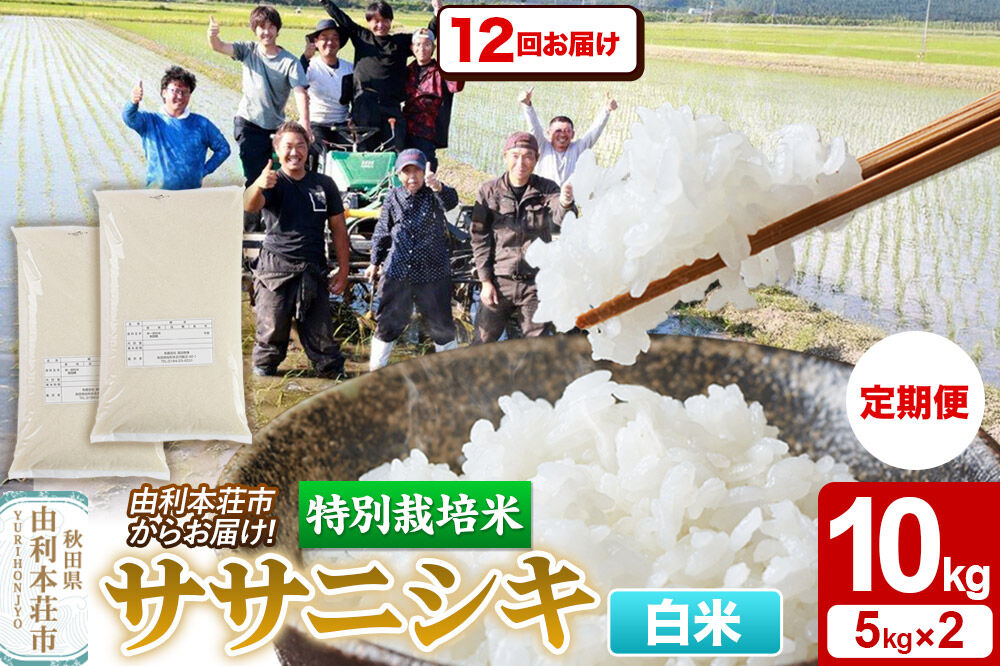 《定期便12ヶ月》令和7年産【白米】特別栽培米 ササニシキ 10kg（5kg×2袋） 秋田県産 [ササニシキ 米 お米 白米 精米 特別栽培米 ブランド米 食卓 秋田県産 秋田県 由利本荘市]