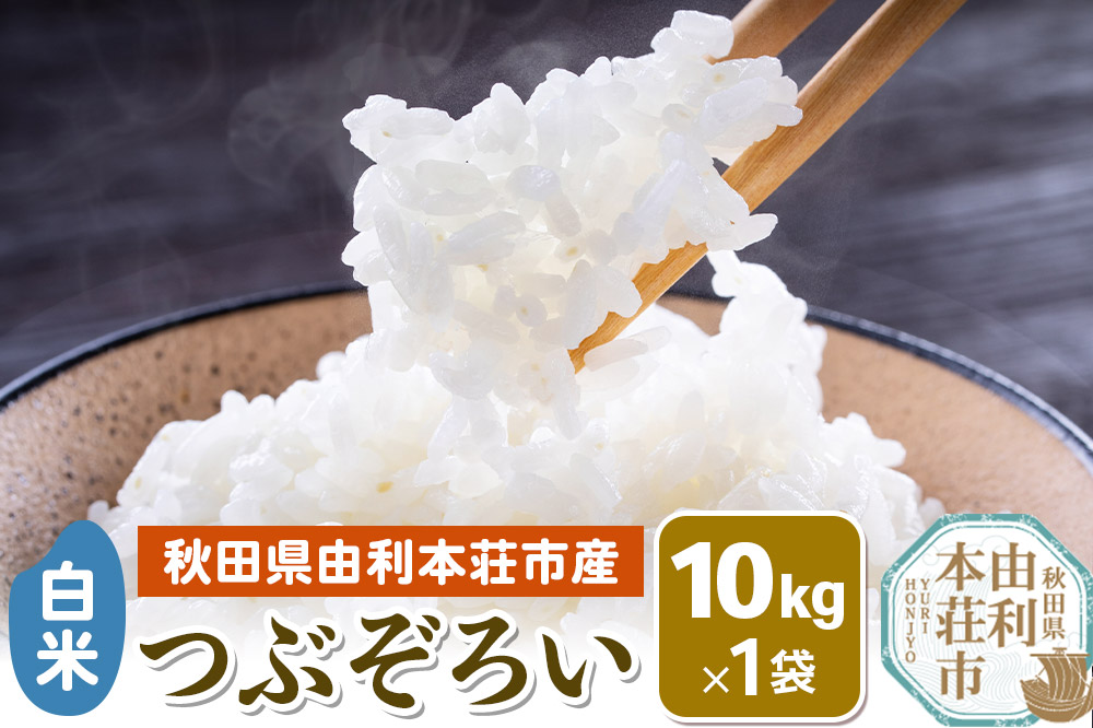 【白米】秋田県由利本荘市産 つぶぞろい 10kg 令和6年産