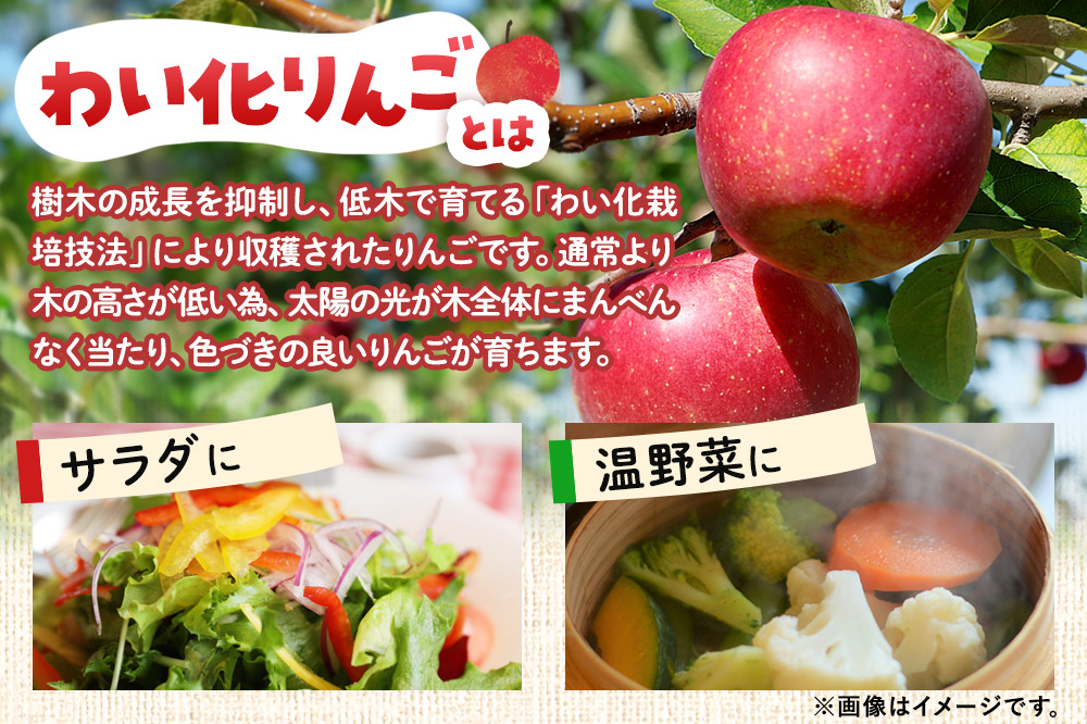 りんご酢ドレッシング 100g×1本