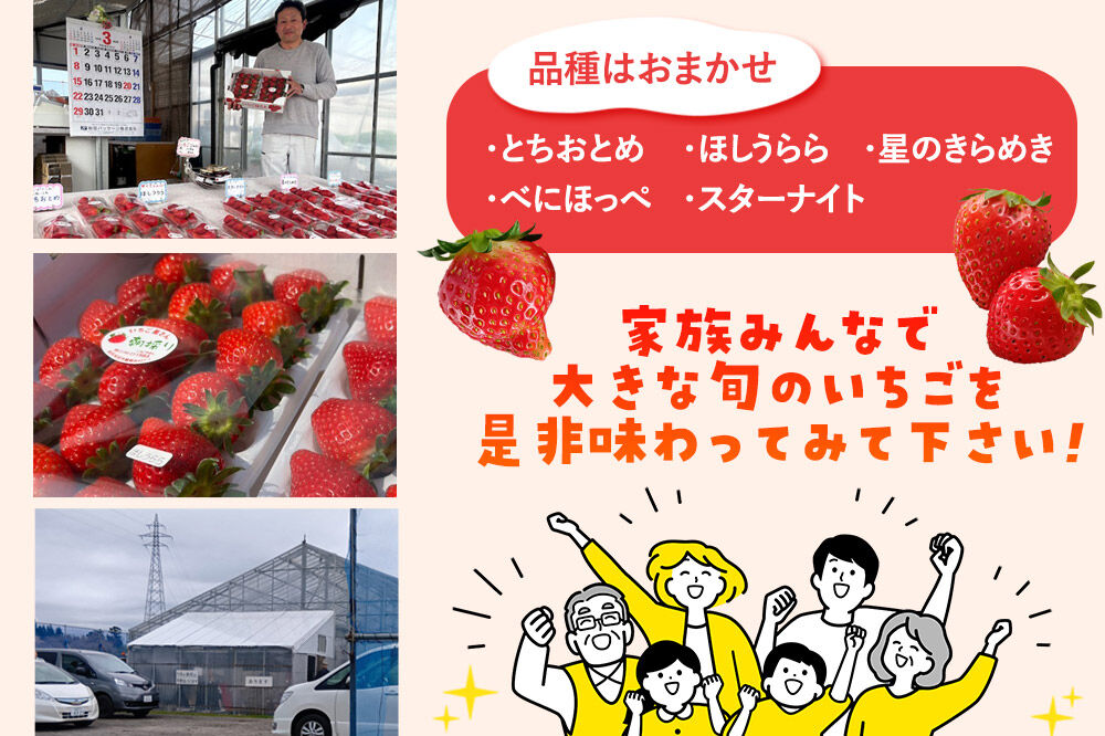 大粒いちご詰め合わせ 合計約1kg（約500g×2パック）いちご屋さんのいちご [苺 いちご イチゴ 果物 フルーツ 旬 詰め合わせ 大粒]