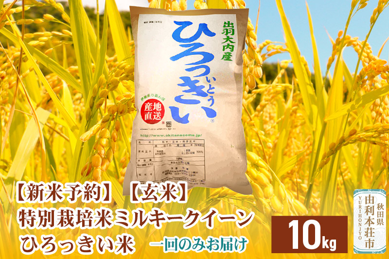 《新米予約》【玄米】秋田県産 ミルキークイーン 10kg 令和6年産 ひろっきい米