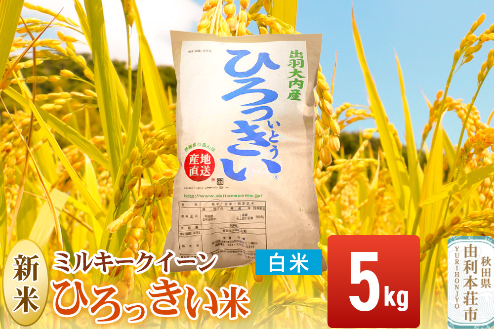 【白米】 秋田県産 ミルキークイーン 5kg  令和7年産 ひろっきい米