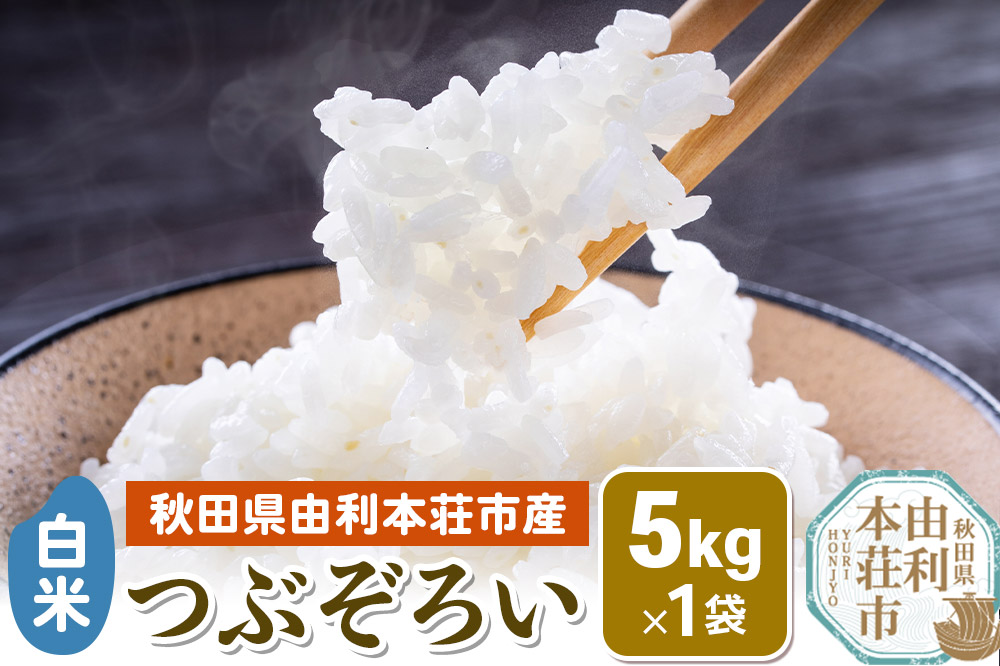 【白米】秋田県由利本荘市産 つぶぞろい 5kg 令和6年産