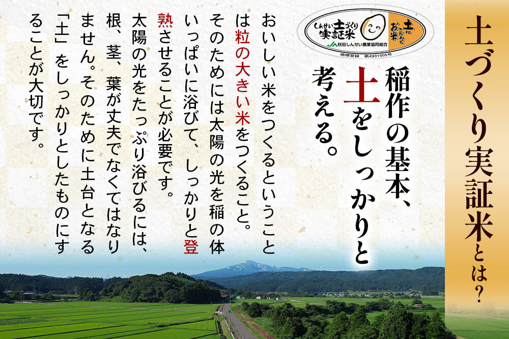 《令和8年産 新米受付》《定期便5ヶ月》【白米】あきたこまち 10kg (5kg袋小分け) ×5回  土作り実証米 合計50kg 秋田県産 [あきたこまち 米 お米 こめ 白米 精米 ブランド米 食卓 おにぎり 秋田県産 国産 土作り実証米 おいしい 秋田県 由利本荘市]