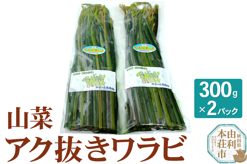 山菜 秋田県産 アク抜きワラビ 300g×2パック （発送は5月頃）