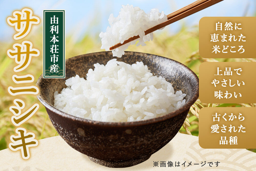 《定期便3ヶ月》令和7年産【無洗米】特別栽培米 ササニシキ 10kg（5kg×2袋）秋田県産 [ササニシキ 米 お米 白米 精米 無洗米 特別栽培米 ブランド米 食卓 秋田県産 秋田県 由利本荘市]