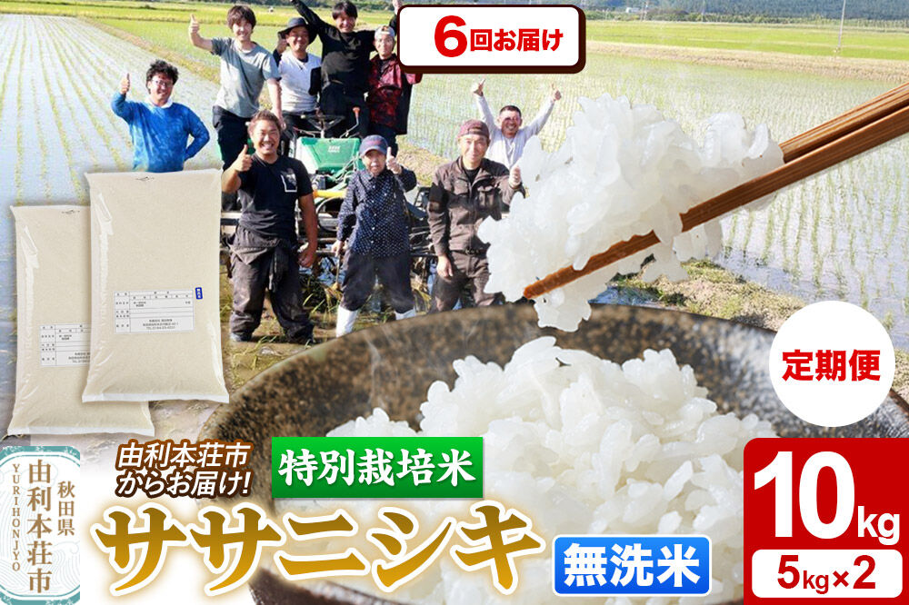 《定期便6ヶ月》令和7年産【無洗米】特別栽培米 ササニシキ 10kg（5kg×2袋）秋田県産 [ササニシキ 米 お米 白米 精米 無洗米 特別栽培米 ブランド米 食卓 秋田県産 秋田県 由利本荘市]