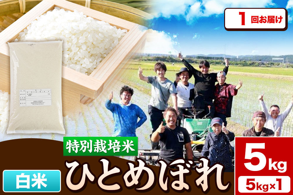 令和7年産【白米】特別栽培米 ひとめぼれ 5kg 秋田県産 [ひとめぼれ 米 お米 白米 精米 特別栽培米 ブランド米 食卓 秋田県産 秋田県 由利本荘市]
