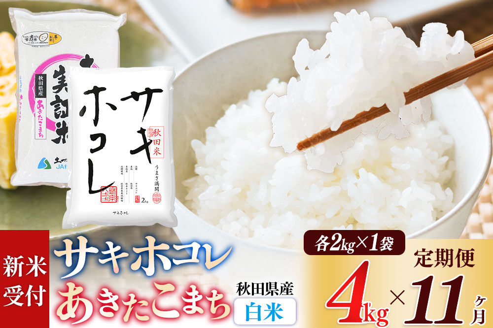 《令和8年産 新米受付》《定期便11ヶ月》【白米】サキホコレ2kg・土づくり実証米あきたこまち2kg (計4kg) ×11回 計44kg 精米 特A評価米 秋田県産 [サキホコレ あきたこまち 米 お米 こめ 白米 精米 ブランド米 食卓 おにぎり 食べ比べ 秋田県産 国産 土作り実証米 おいしい 秋田県 由利本荘市]