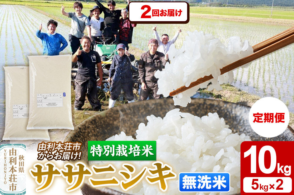 《定期便2ヶ月》令和7年産【無洗米】特別栽培米 ササニシキ 10kg（5kg×2袋）秋田県産 [ササニシキ 米 お米 白米 精米 無洗米 特別栽培米 ブランド米 食卓 秋田県産 秋田県 由利本荘市]