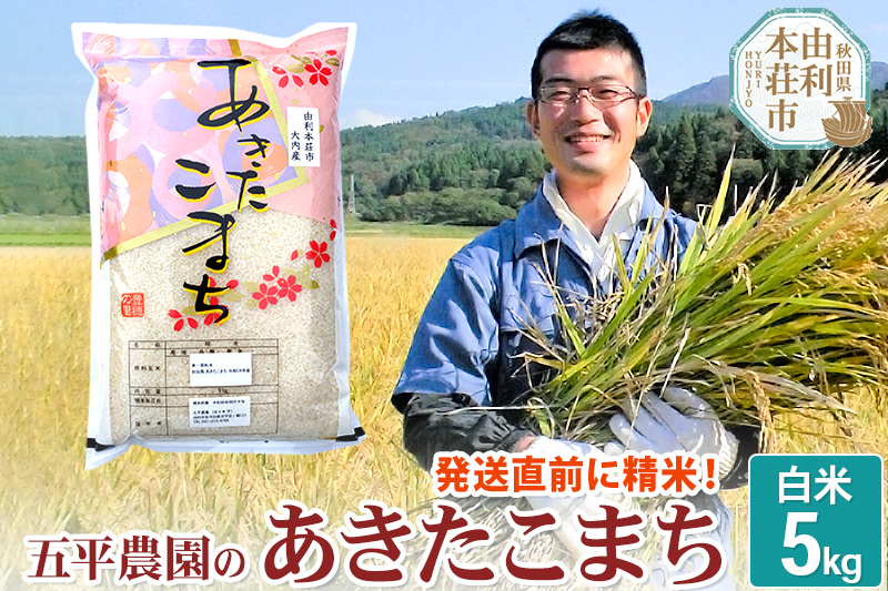 【白米】あきたこまち 令和6年産 秋田県産 五平農園のあきたこまち 5kg