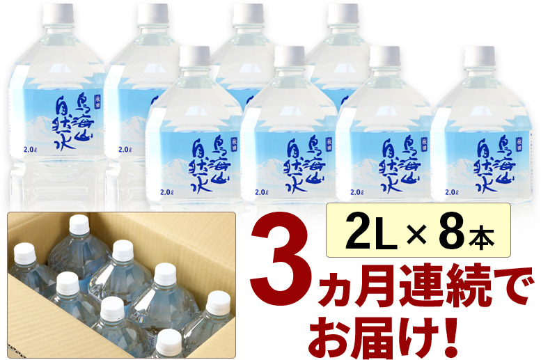 鳥海山自然水(2L)8本×3か月連続 計24本