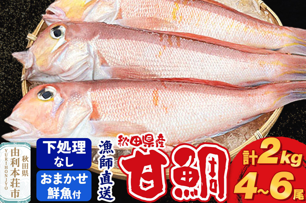 漁師直送 甘鯛（あまだい）2kg＋おまかせ鮮魚 秋田県産【下処理なし】 [天然 高級魚 白身 アマダイ たい 鮮魚 共同漁業 BLUE RISE 秋田県 由利本荘市]
