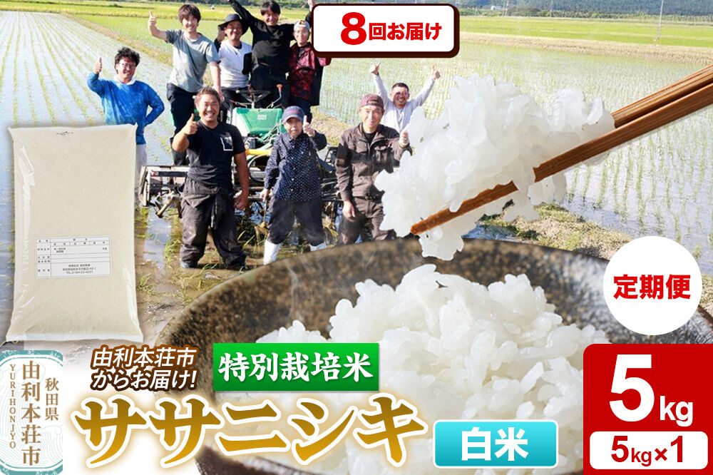 《定期便8ヶ月》令和7年産【白米】特別栽培米 ササニシキ 5kg 秋田県産 [ササニシキ 米 お米 白米 精米 特別栽培米 ブランド米 食卓 秋田県産 秋田県 由利本荘市]