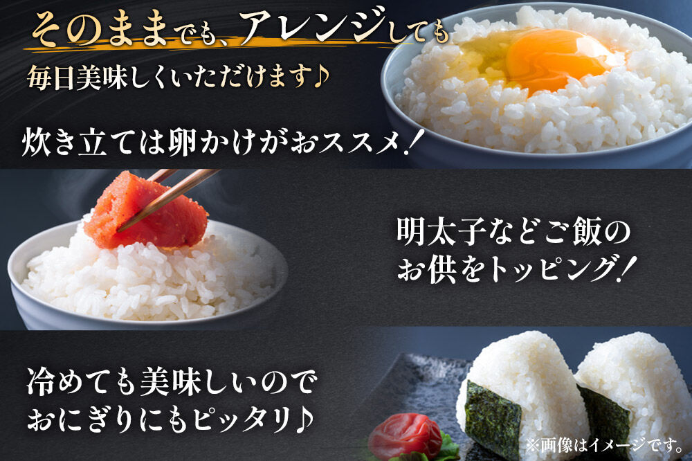《令和8年産 新米受付》《定期便8ヶ月》【白米】あきたこまち 10kg (5kg袋小分け) ×8回  土作り実証米 合計80kg 秋田県産 [あきたこまち 米 お米 こめ 白米 精米 ブランド米 食卓 おにぎり 秋田県産 国産 土作り実証米 おいしい 秋田県 由利本荘市]