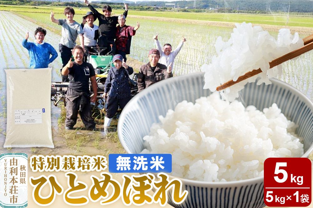 【無洗米】秋田県由利本荘市産 特別栽培米 ひとめぼれ 5kg（5kg×1袋）令和7年産
