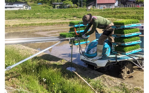 【玄米】〈減農薬〉秋田県由利本荘市産 ササニシキ 20kg(5kg×4袋) 令和6年産 新鮮パック 低農薬