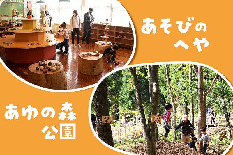 鳥海山 木のおもちゃ館　年間パスポート（おとな）