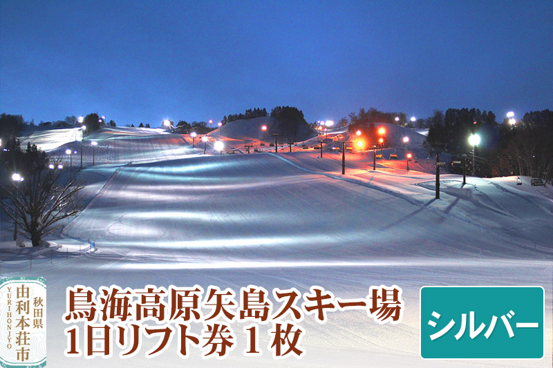鳥海高原矢島スキー場 リフト1日券 シルバー(60歳以上) 1枚