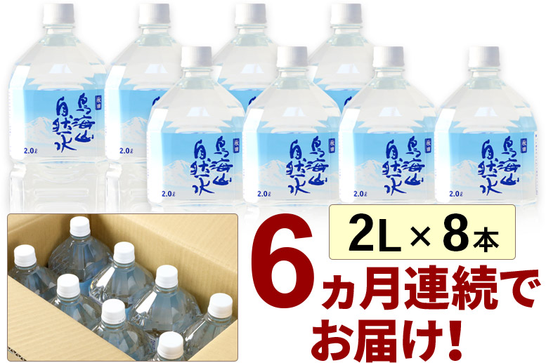 鳥海山自然水(2L)8本×6か月連続 計48本